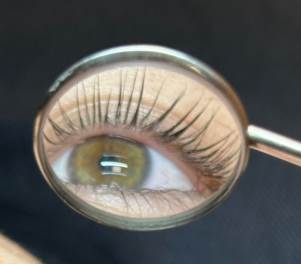 Lash Lift and Tint