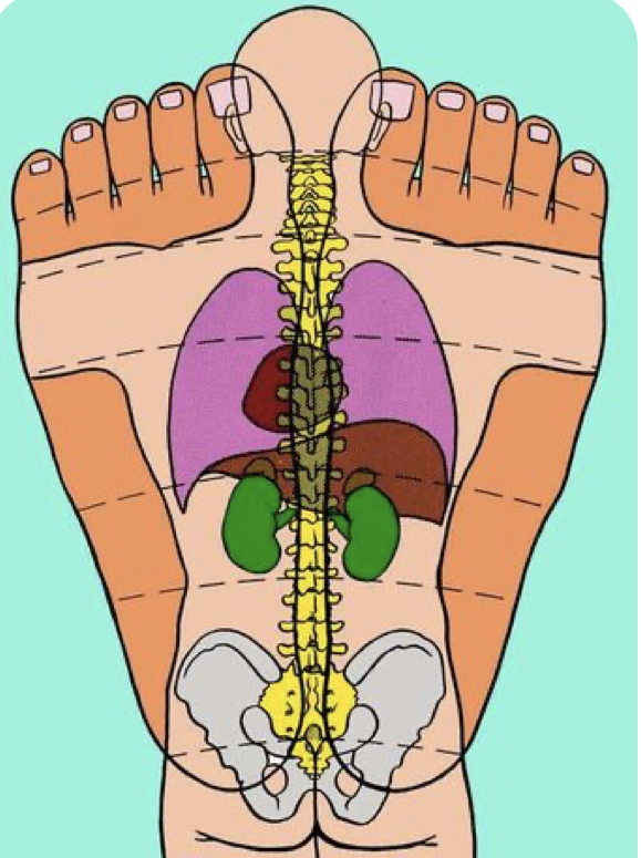 Reflexology