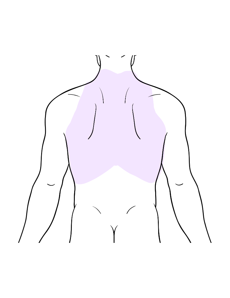 Back