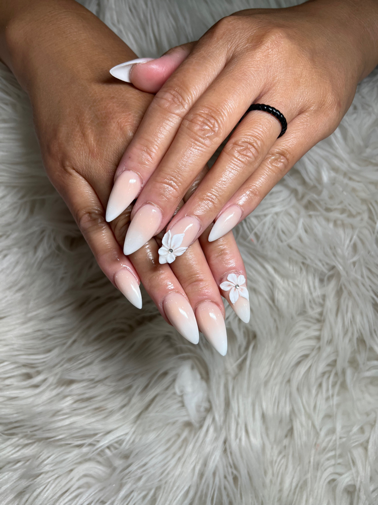 Ombré Set