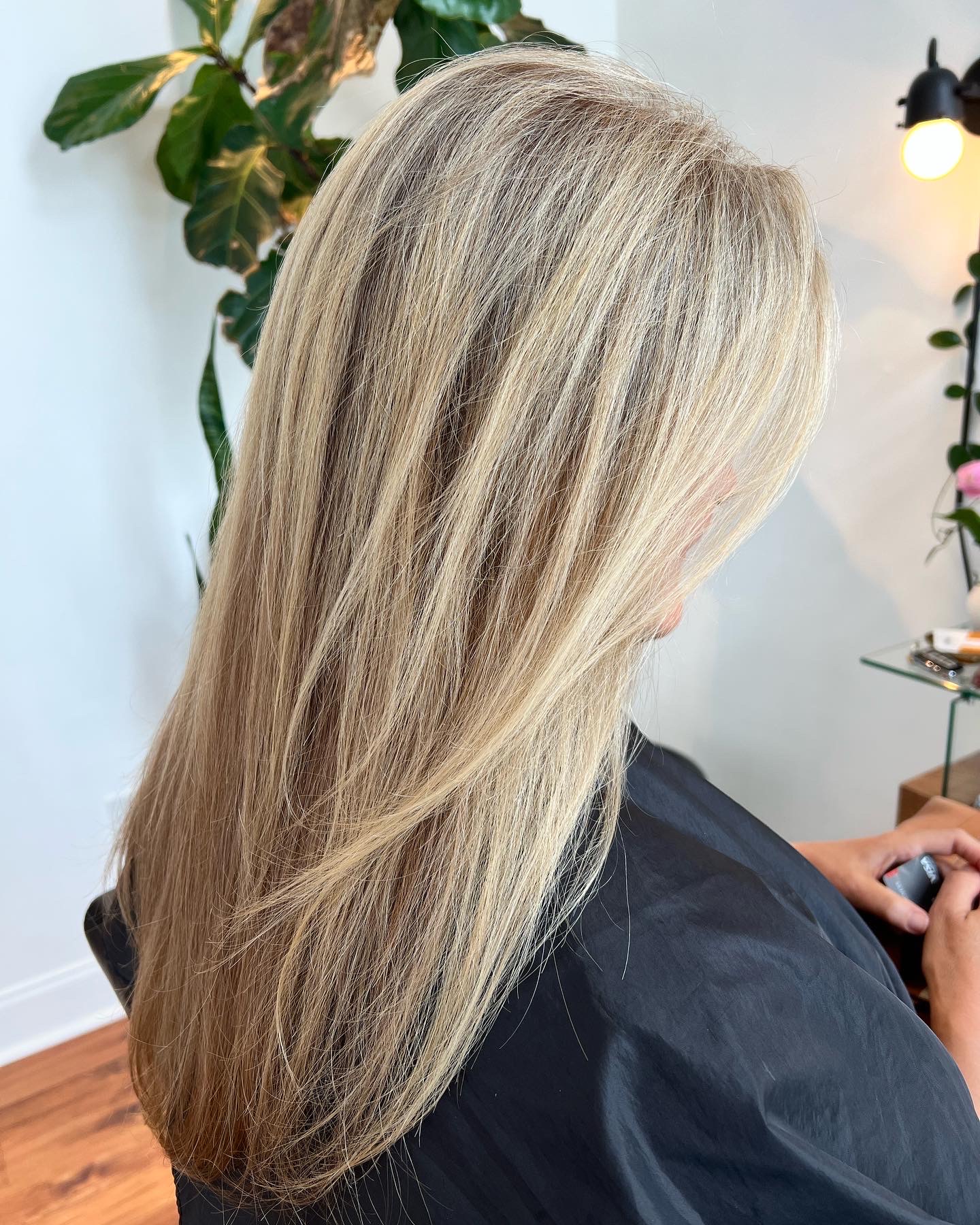 Root Renewal + Style(no cut)