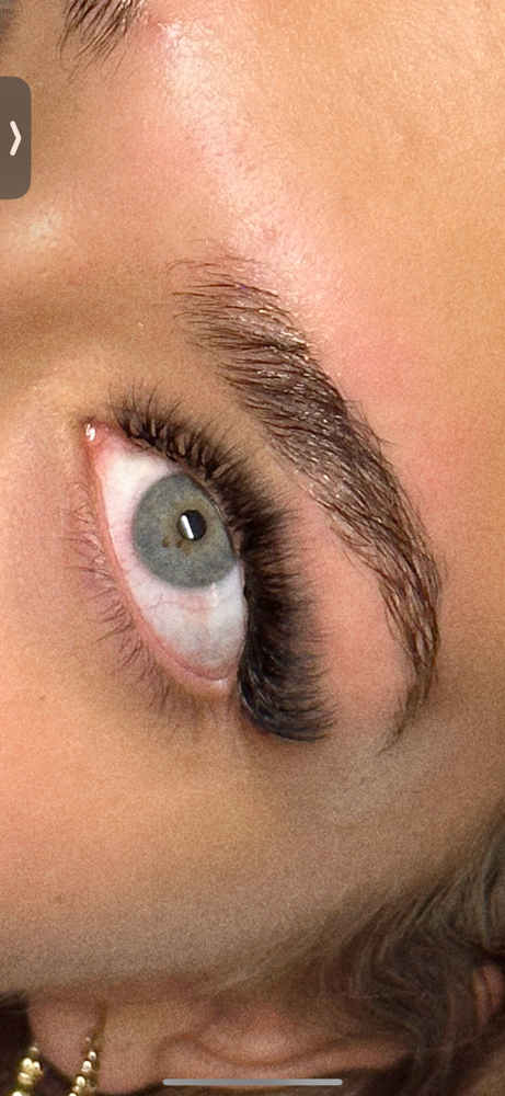 2 week lash fill