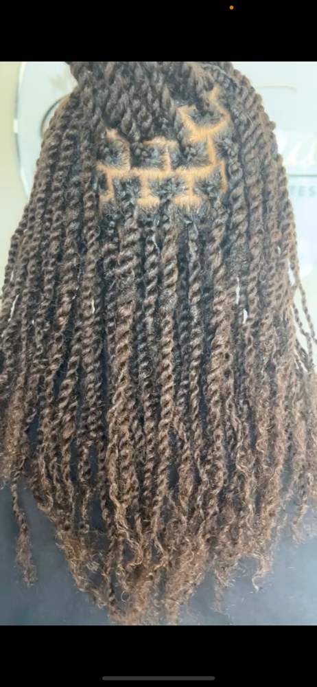 Mini Twists (hair added) at HAUS OF JAYLA in Murfreesboro, TN
