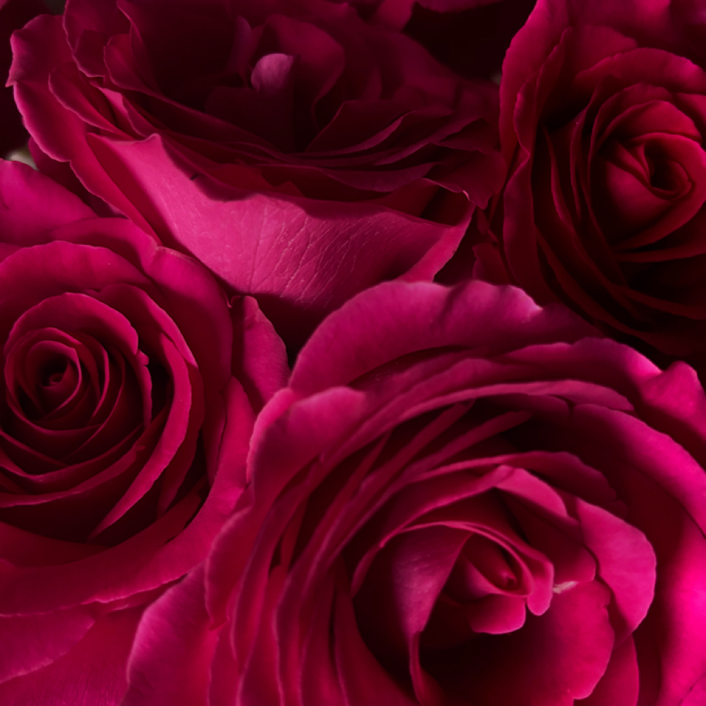 Spring Facial at sophiaskinspa in Bowling Green, KY