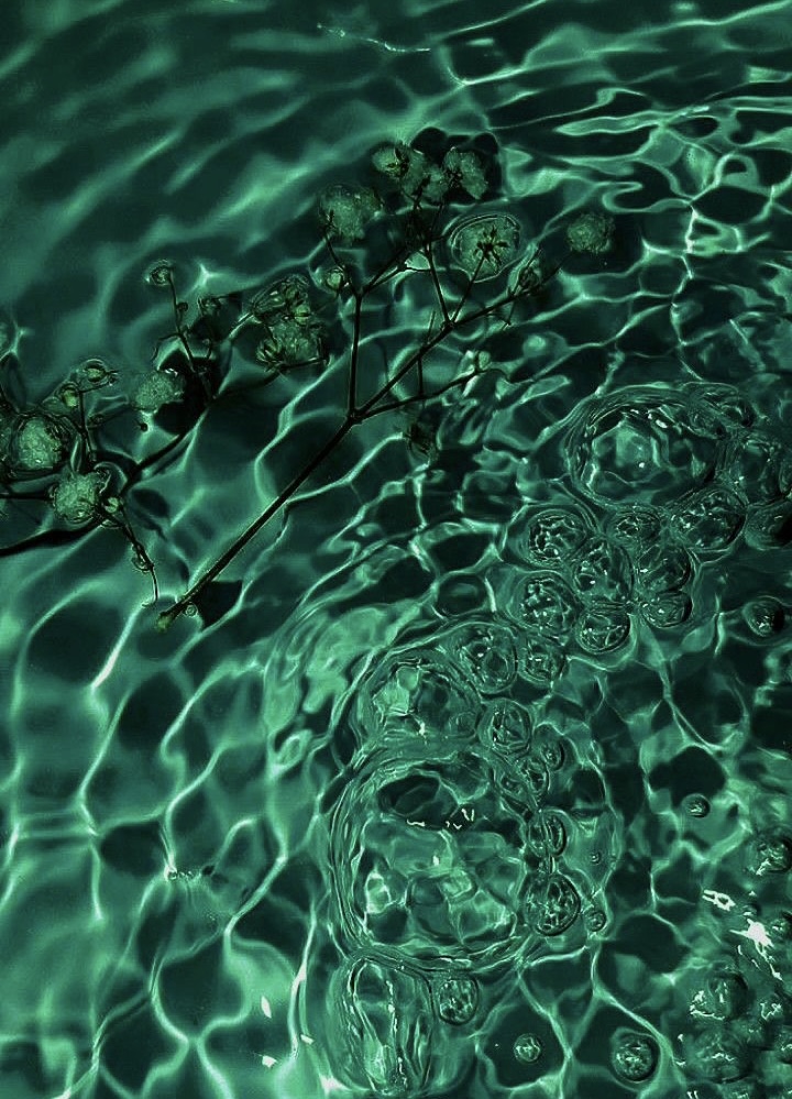 Foliage at Creations By Kaylee in Johnson City, TN