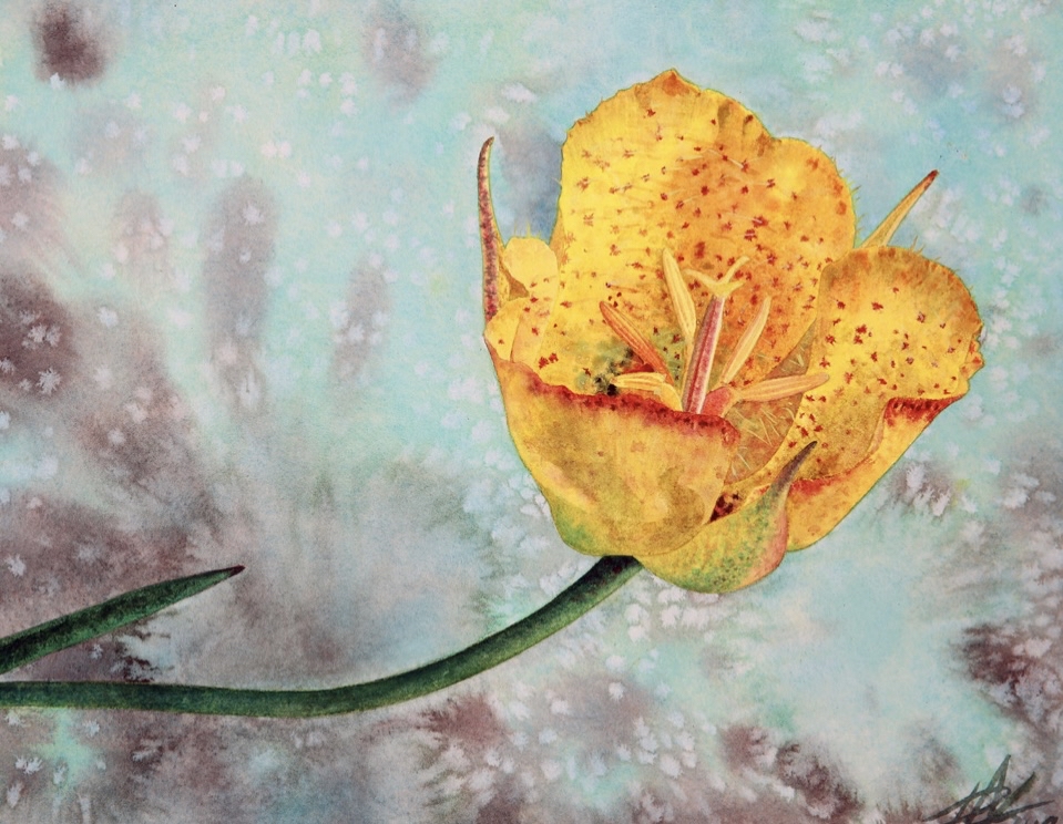 Desert Lily Rapid (4 Tans)