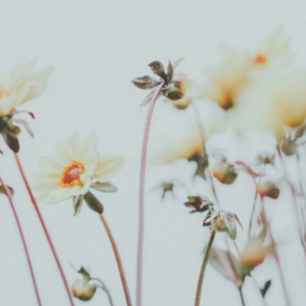 All Over Color, Cut & Blowdry at Oxford&Mane in Oxford, NC