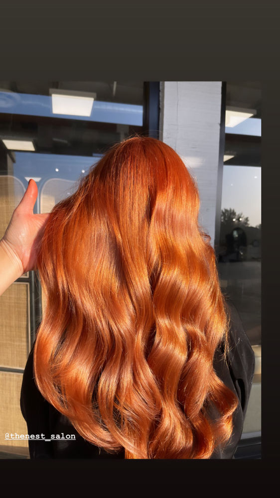 Root Touch-up (4-6 week grow-out)