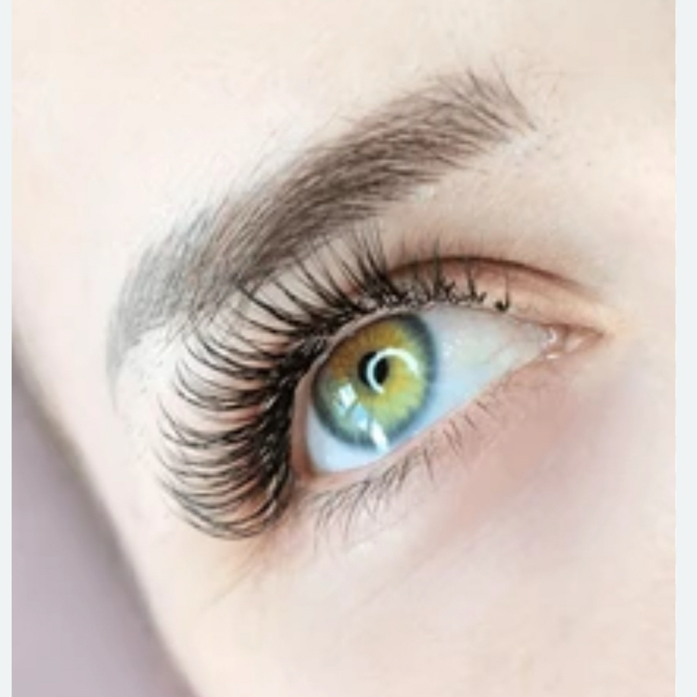 Lash Lift + Tint at Belle Sculpted Aesthetics, LLc in Lake Jackson, TX