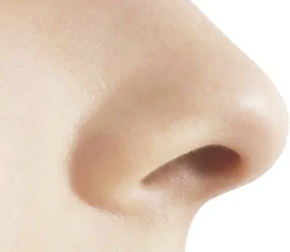 Nose