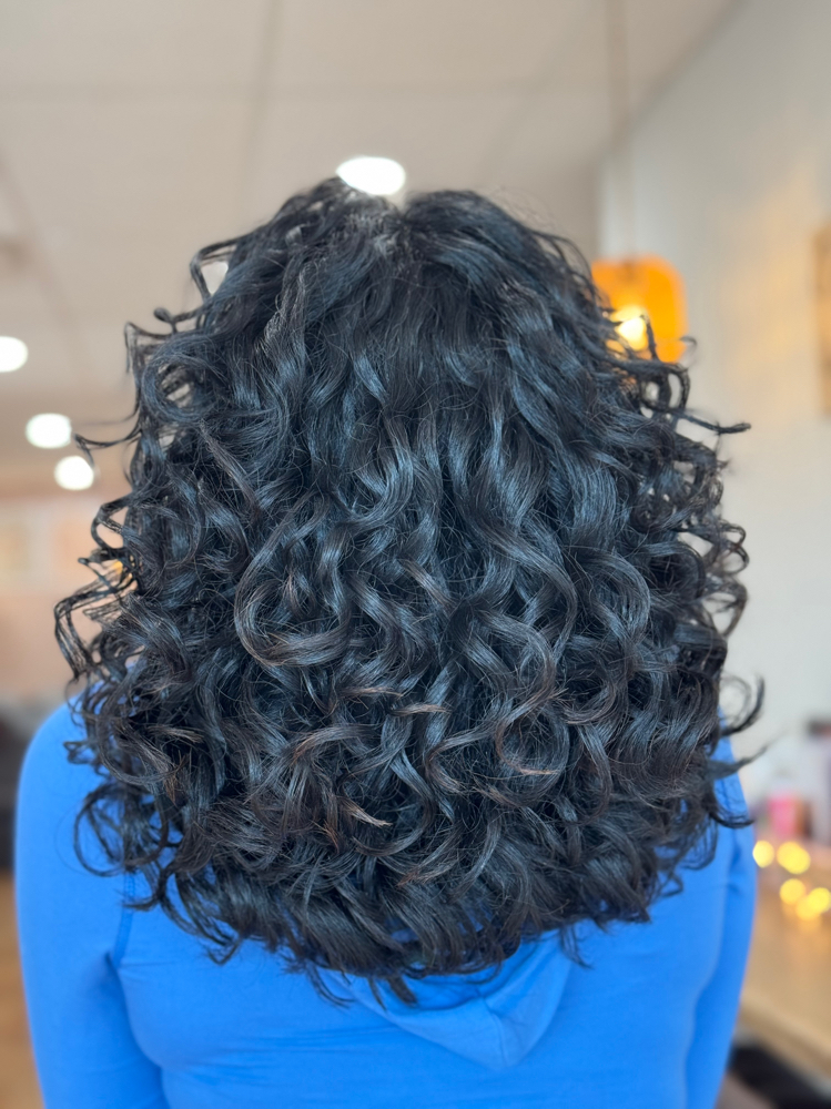 Vivaa Cut (Existing Clients ONLY)