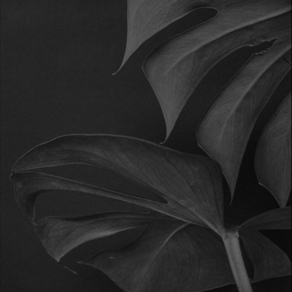 Classic Lash Extensions at Raymarie Esthetics in Depew, NY