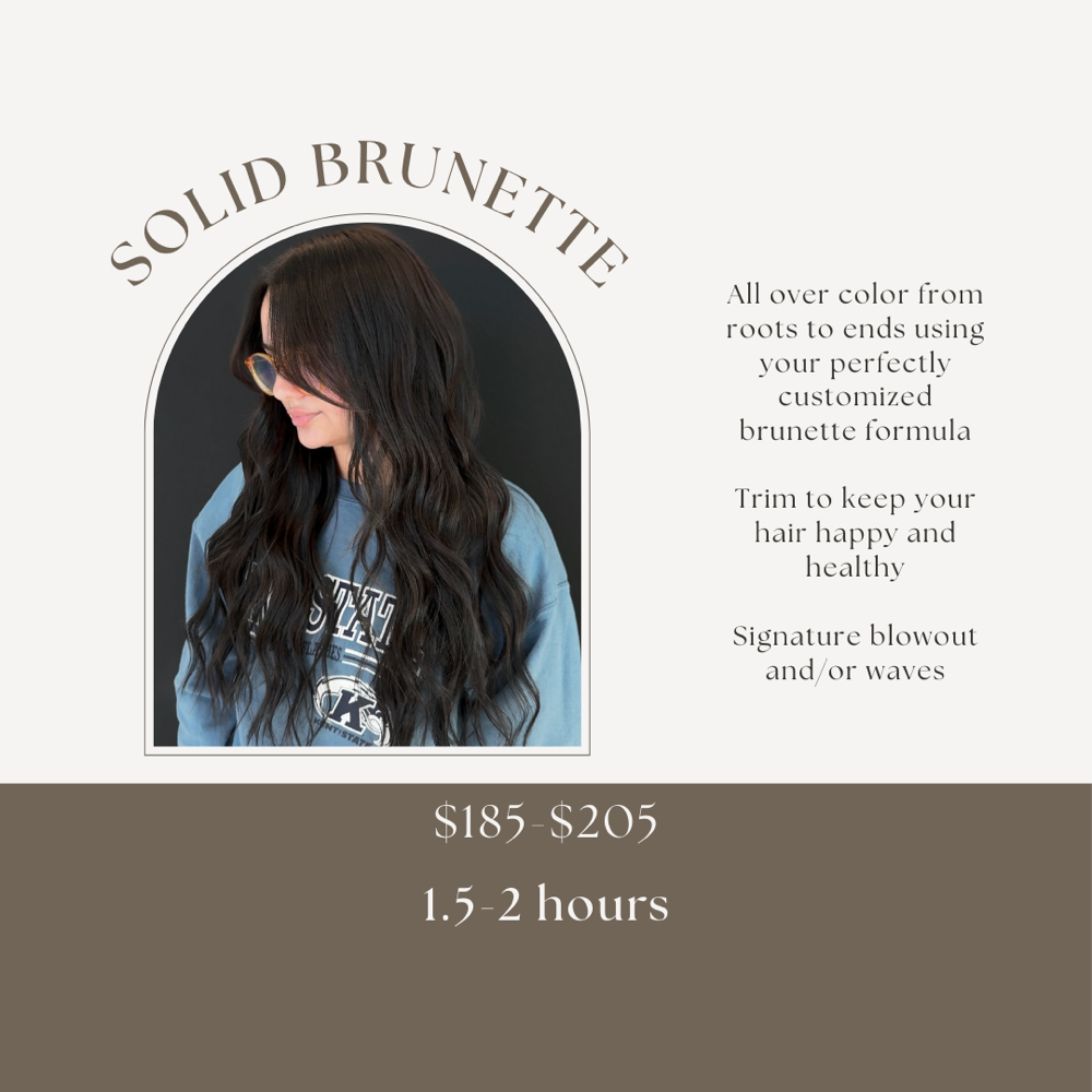 Solid brunette/All over color at Glossed Beauty Bar in Fort Myers, FL