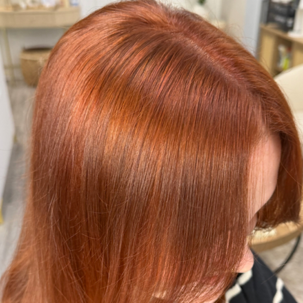 Root Retouch at Transcend Beauty Bar in Missoula, MT