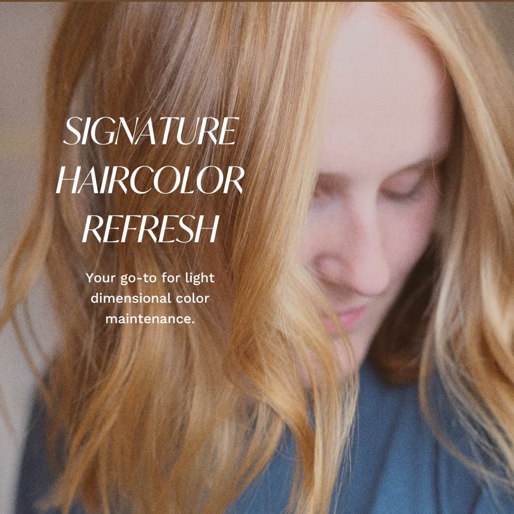 Signature HairPainting Refresh