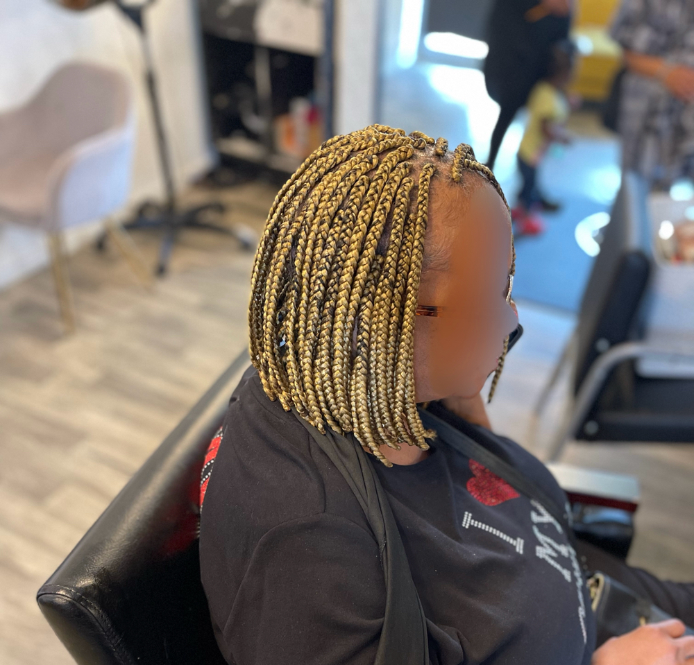 Small Box Braids
