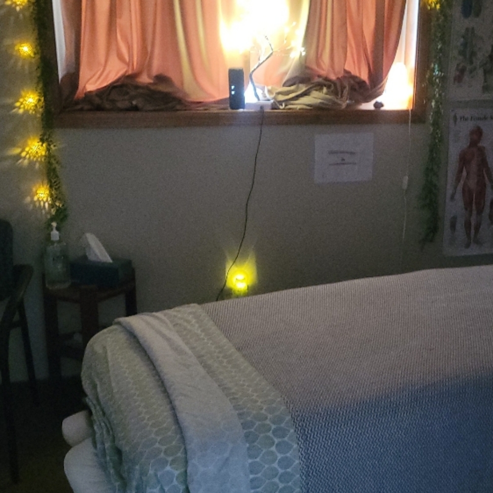 30 Minute Massage at Red Rock Massage in Princeton, MN