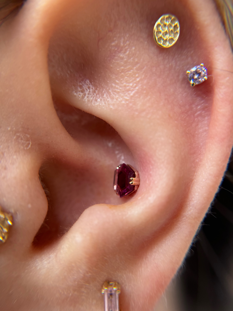 Conch