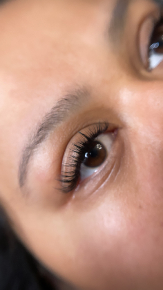 Serene Lash Set