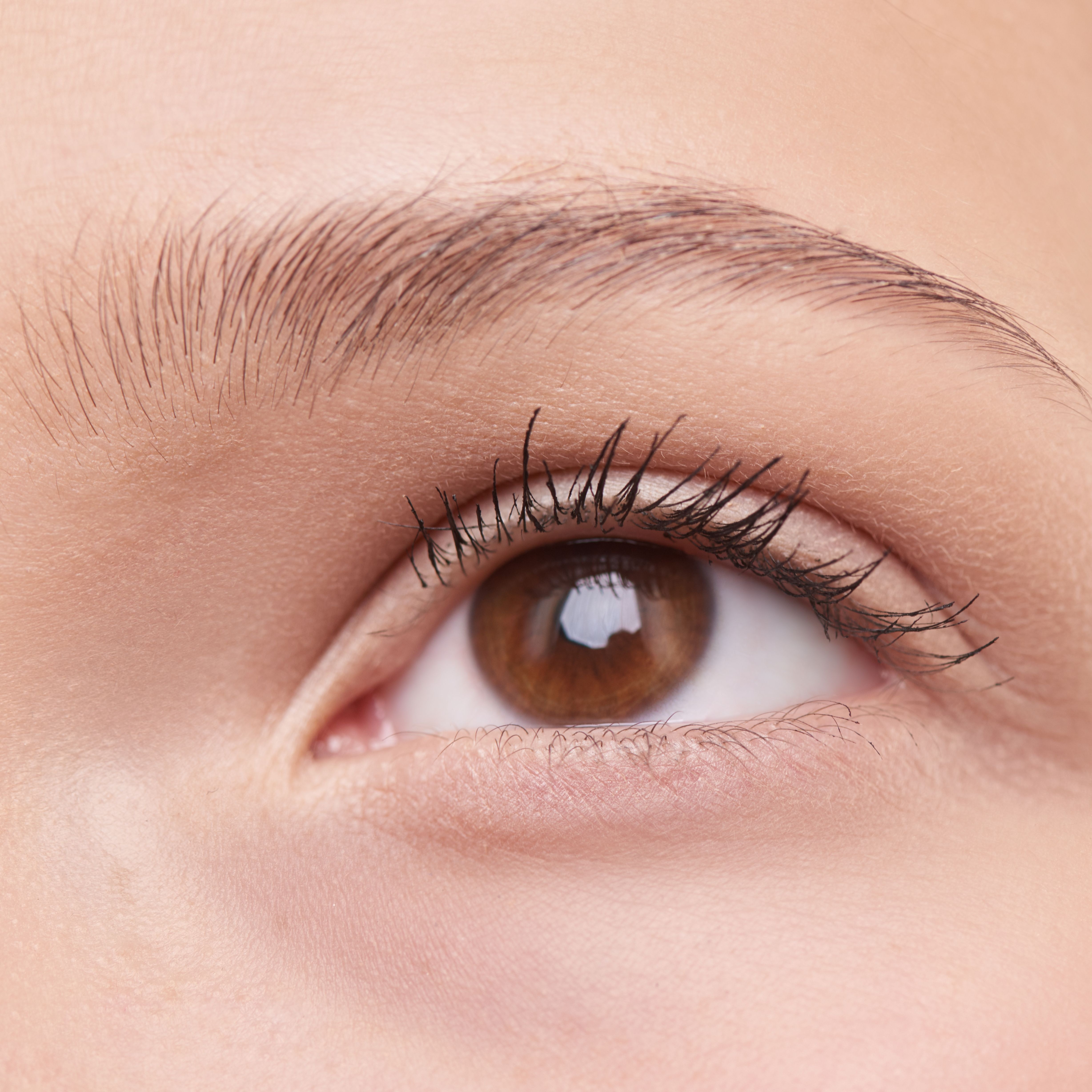 Brow (Wax) at Sun & Sugar Studio in Eagle Mountain, UT