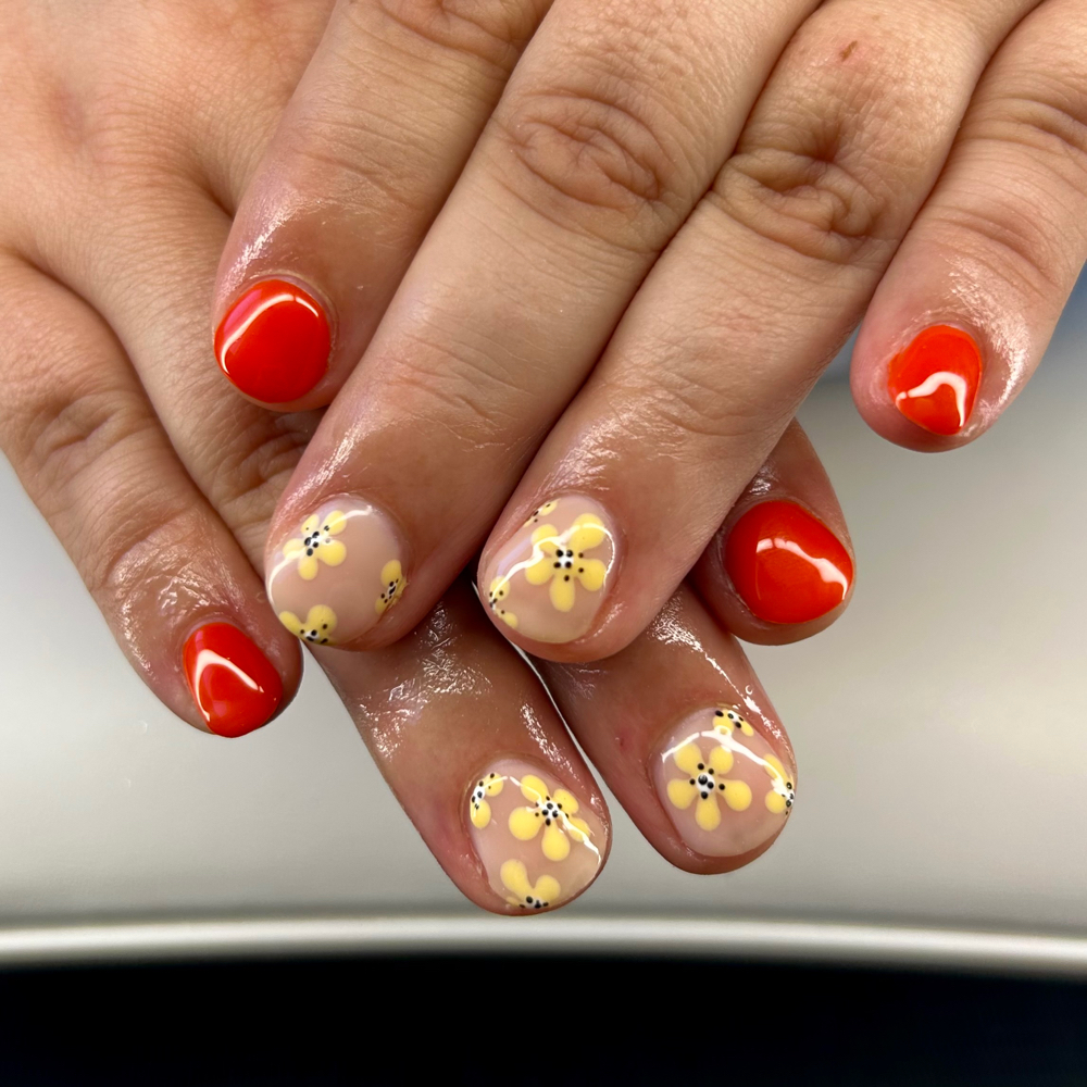 Builder Gel Set