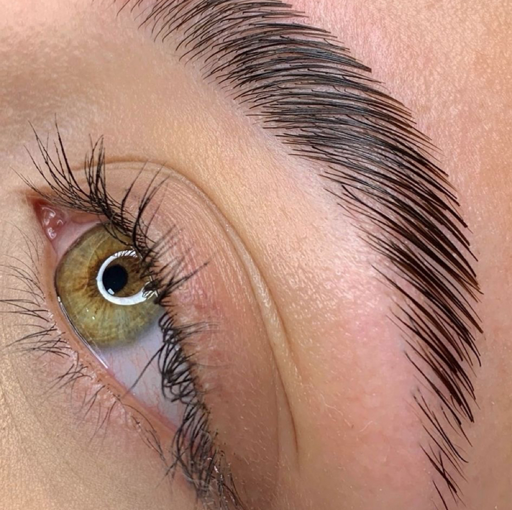 Brow Lamination + Tint at Elevate Studio in Hays, KS