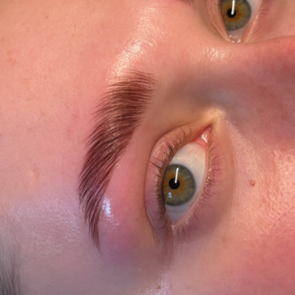 Brow Lamination+ Tint at Lux South Med Spa in Glennville, GA