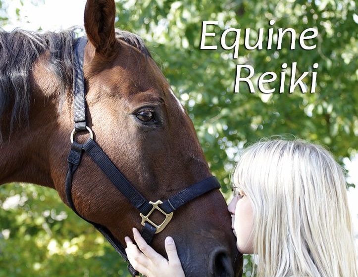 Equine Reiki Service (on site)