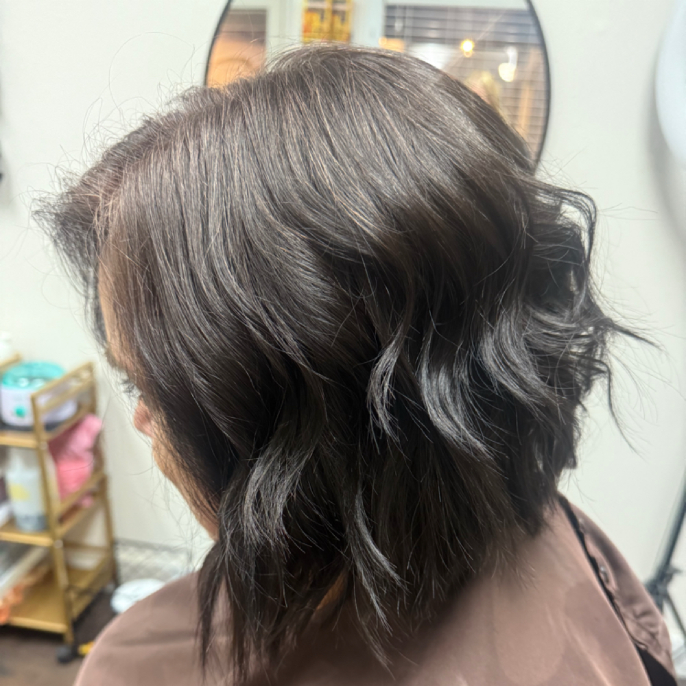 Womens Cuts at Bei capelli salon in Greensboro, NC