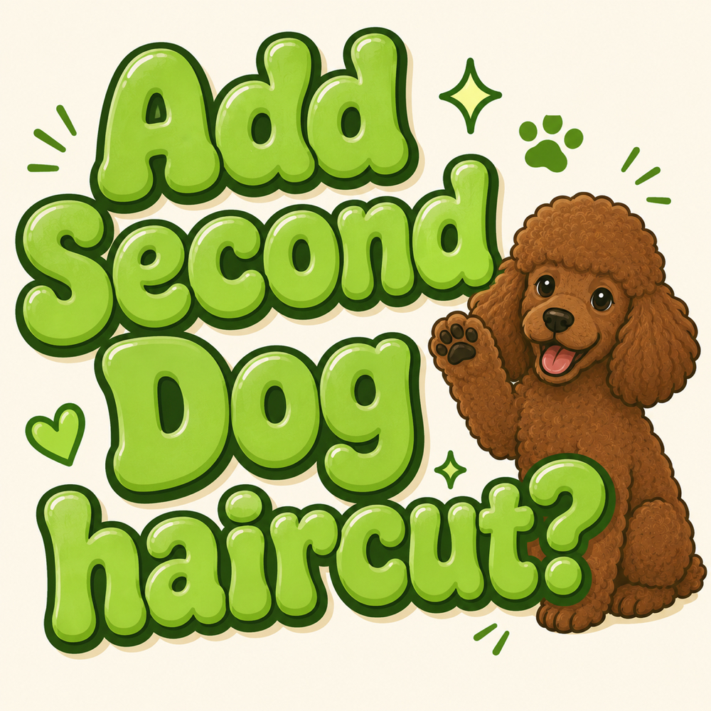 2nd Head-To-Tail Groom at Echo’s Pet Grooming in Idaho Falls, ID
