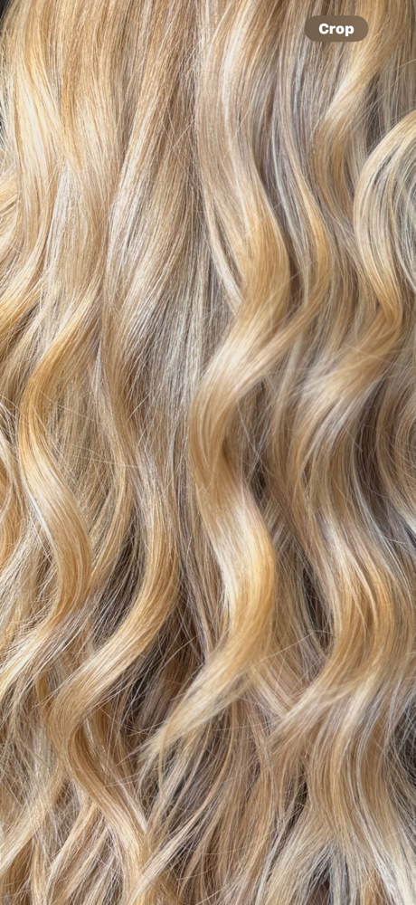 Luxe Shine and Style