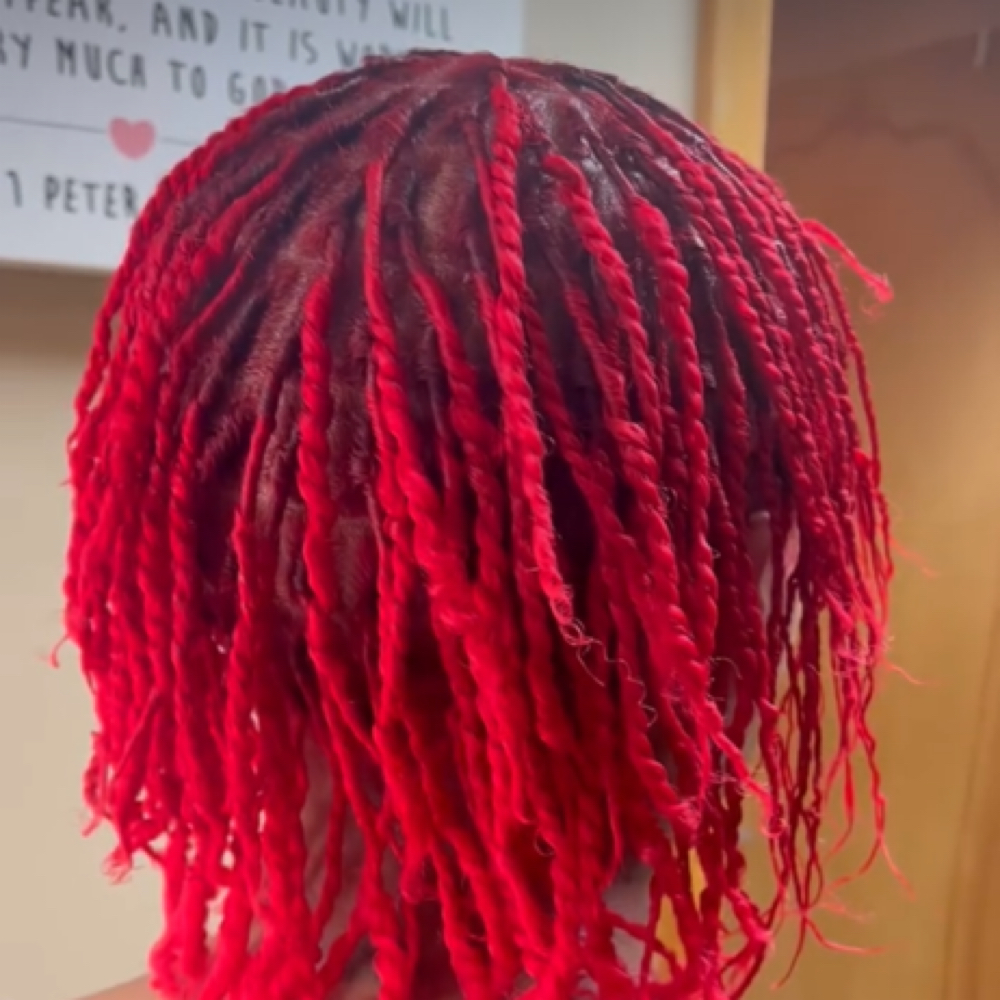 Starter Locs (2 Strand Twist) at Growing Confidence in Michigan City, IN