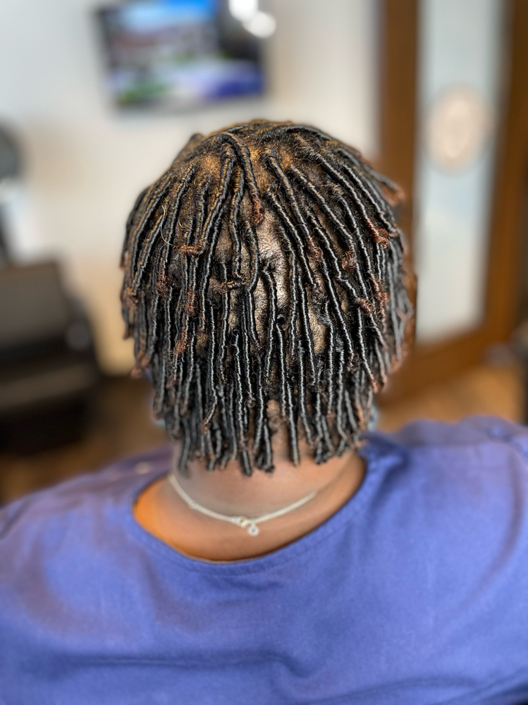 Starter Locs (3-6 Inches)