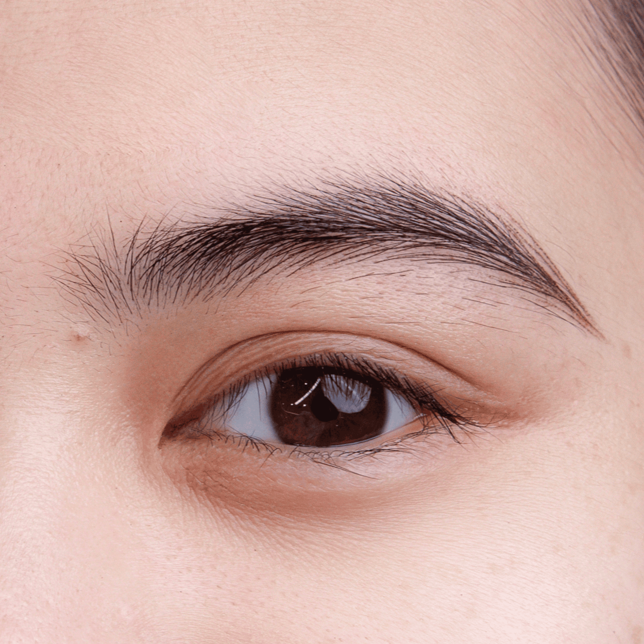 Artistic natural-look brows at DBW BROW ARTISTRY in City of Industry, CA