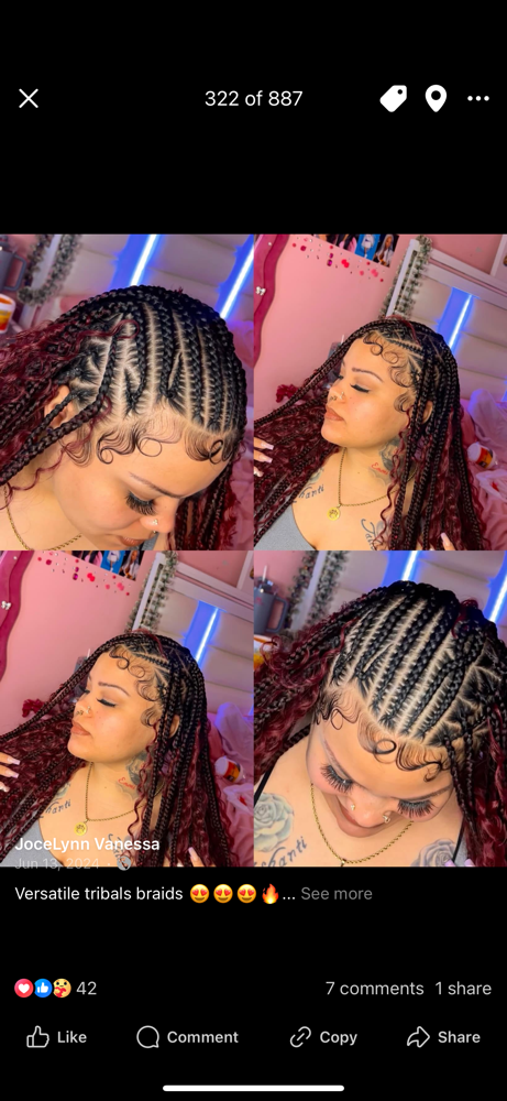 Fulani Braids