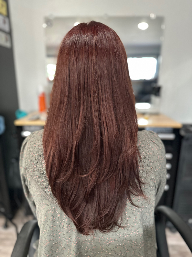 Shampoo/Cut/Blowdry