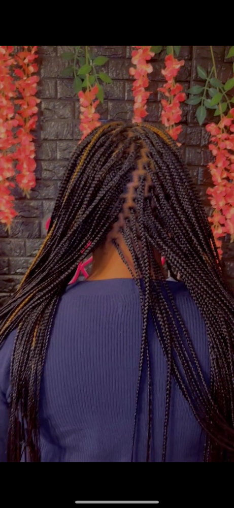 XSmall Box Braids- waist Length at KandyKreations in Monroe, LA
