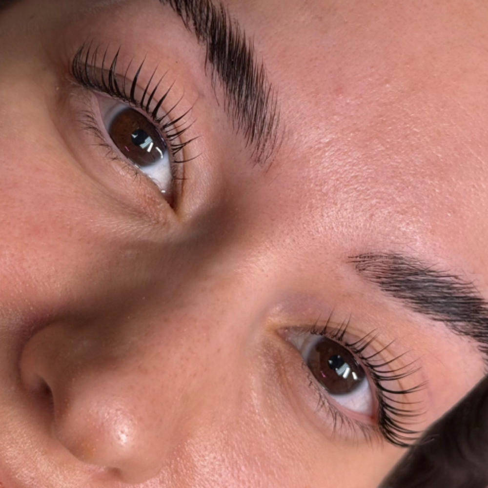 KOREAN LASH LIFT+TINT at The Pink Tulip Wax Studio in Fort Worth, TX