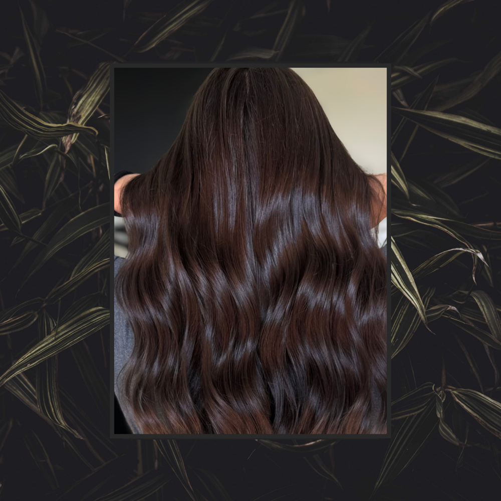 Gloss / Toner at Alchemy Hair Studio HKY in Hickory, NC