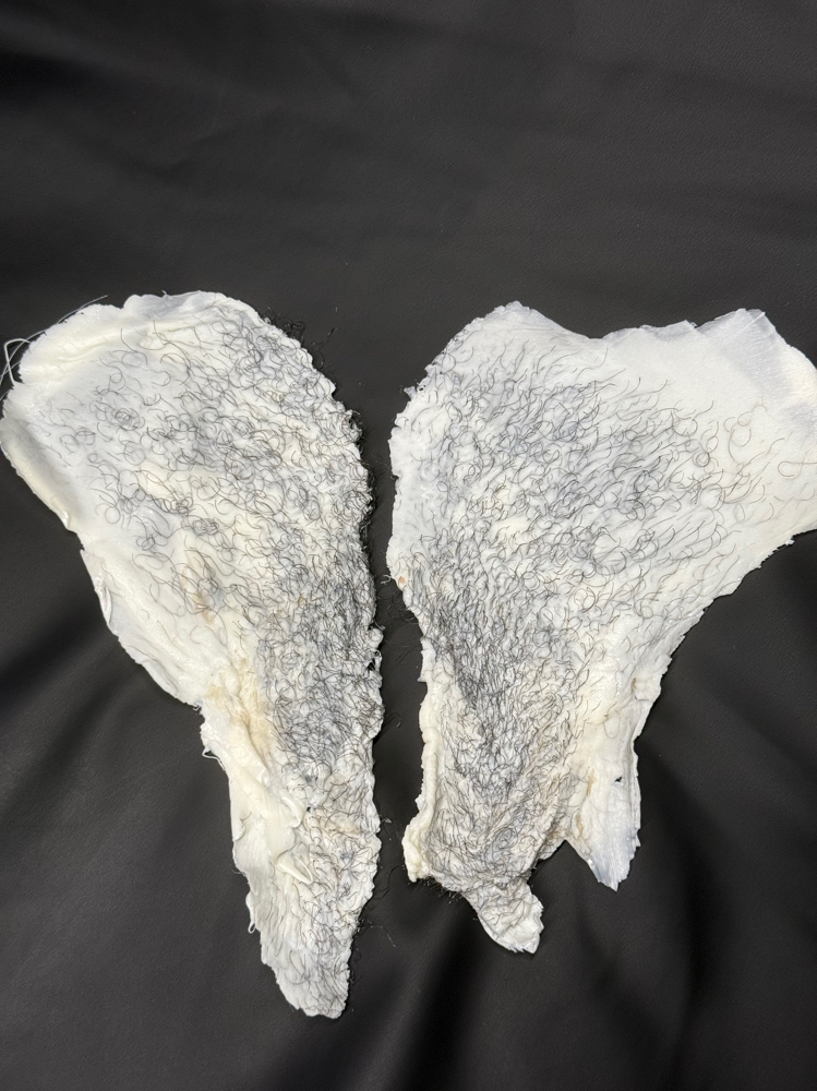 Brazilian Wax at Moonlight Aesthetics in pensacola, FL