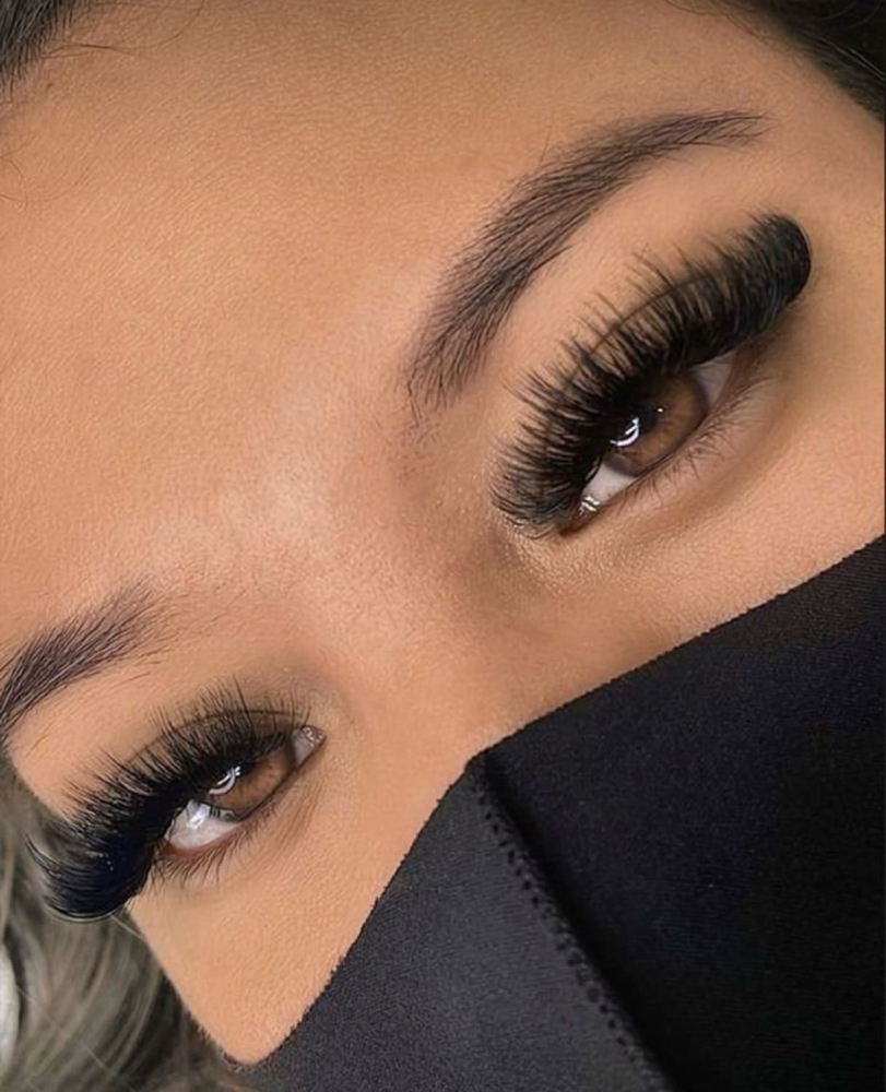 Volume Lashes
