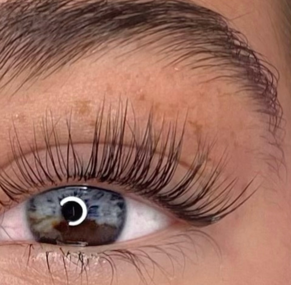 Lash Lift (Tint Included)