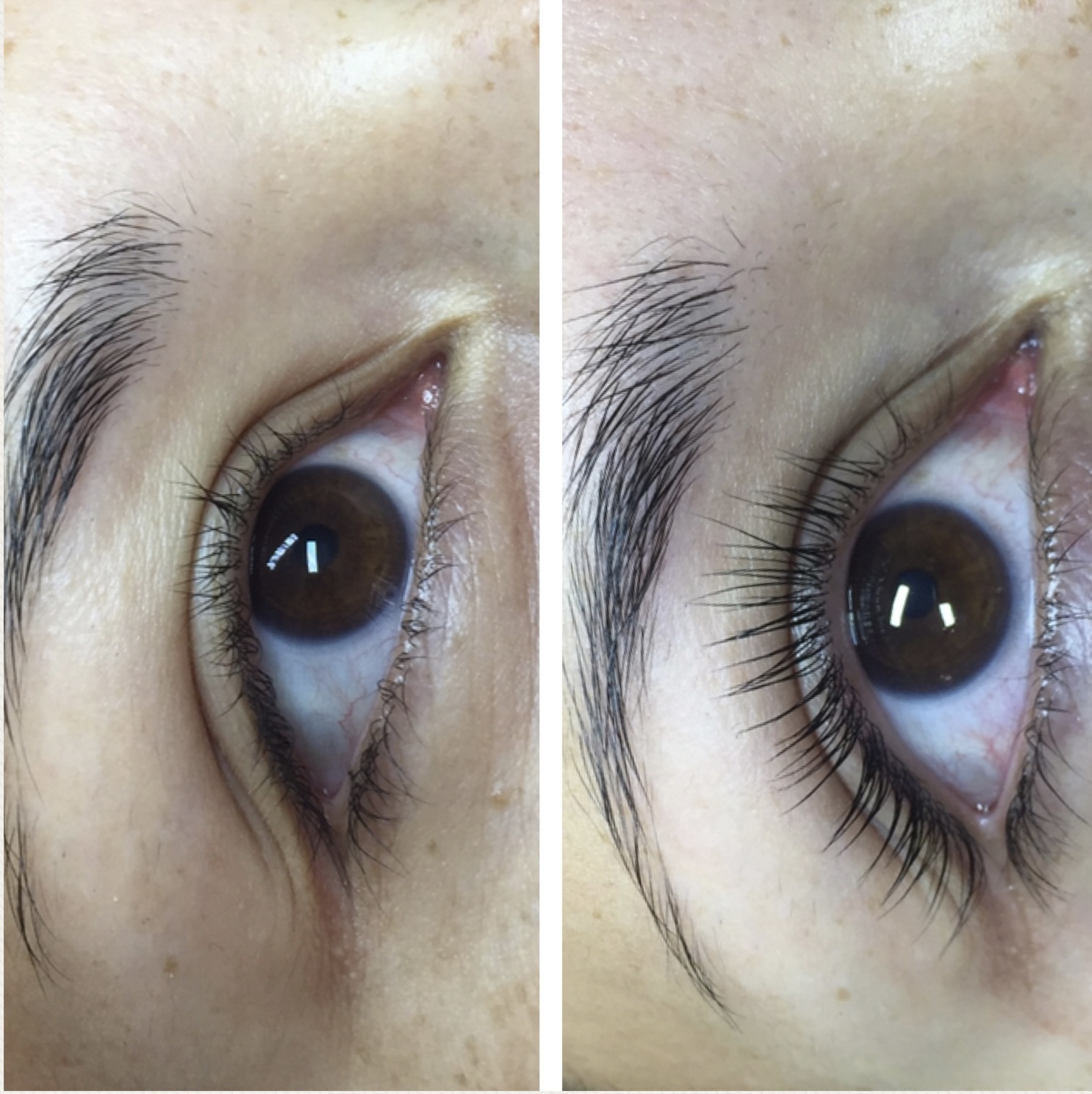 Lash lift