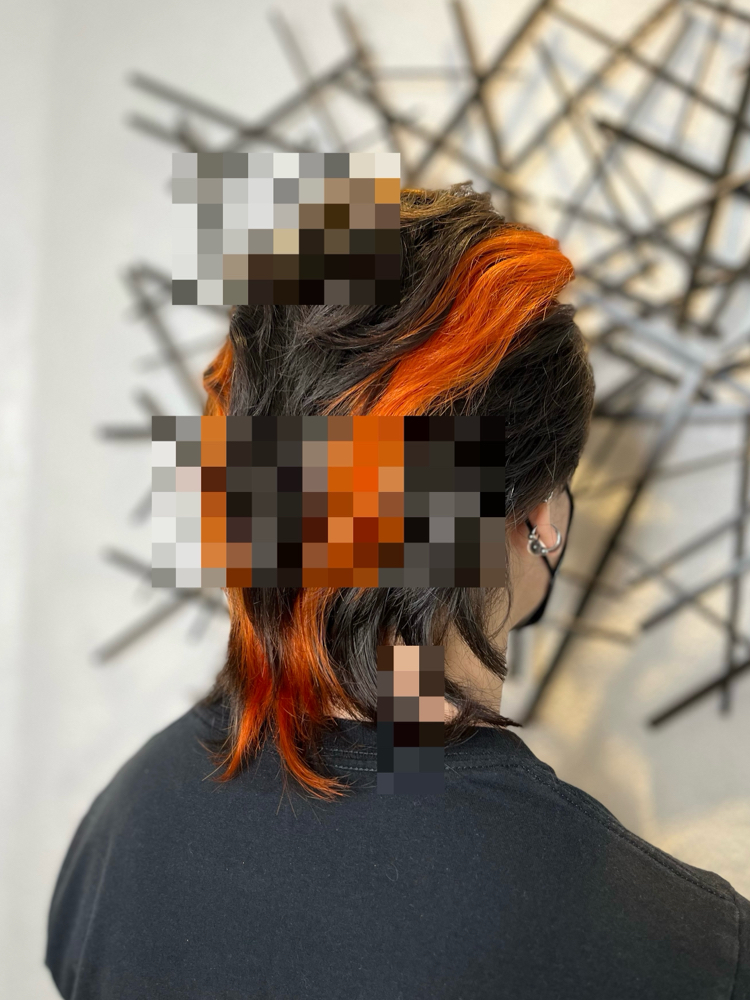 haircut- returning client