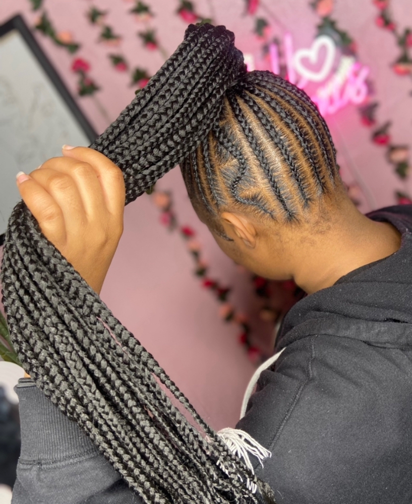 Small Braided Ponytail