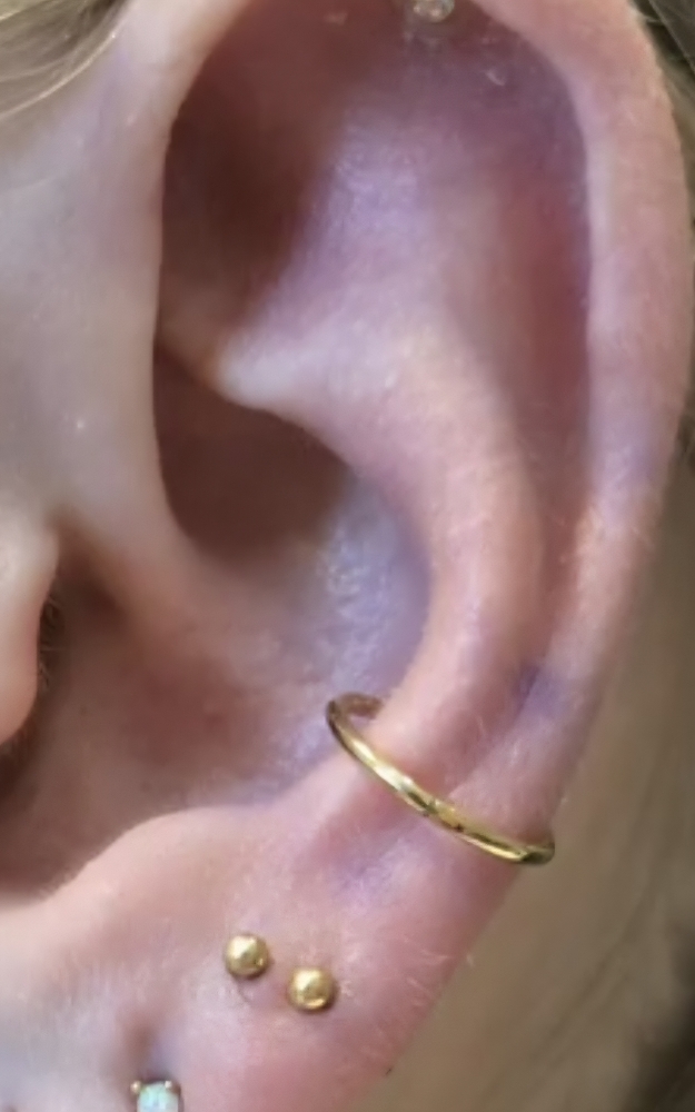 Conch