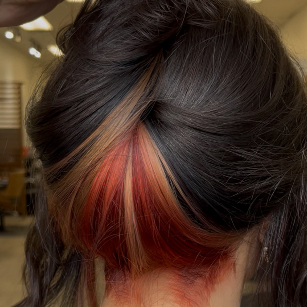 color consultation at Haircraft by Hanni in clermont, FL