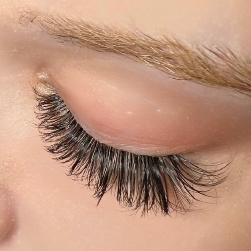 Volume Full Set | $50 OFF-Reg $240 at Acadia Lashing in Westlake, OH