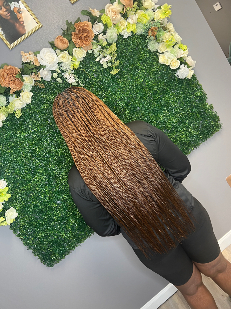 Knotless Braids (xs/minis)