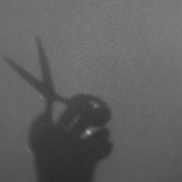 Cut + Style Immersion